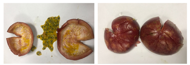 1512176341139986.jpg 未标题-1.jpg