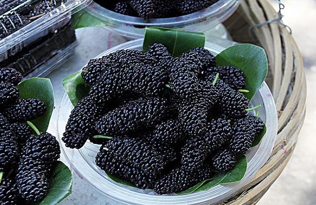 1657092466123027.jpg 桑葚.jpg